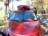  Lady Bug Returns!