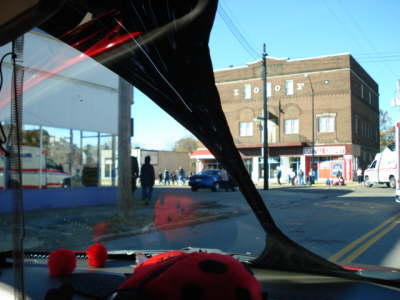 Inside Lady Bug