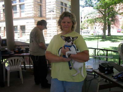Even The Animals Helped Out